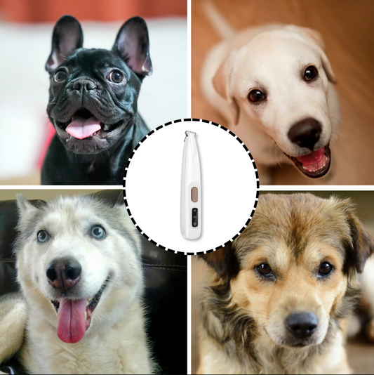 FurEase™ - For the paws of your loved one